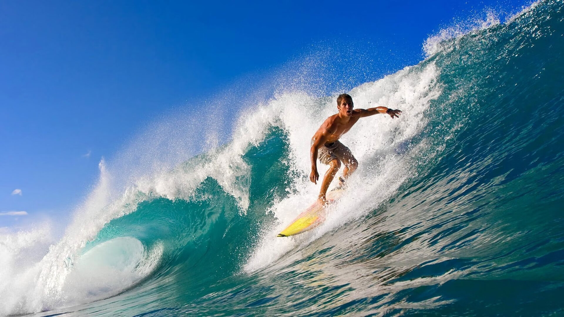 _老鹰快攻突击，场面激烈精彩_，老鹰最快速度