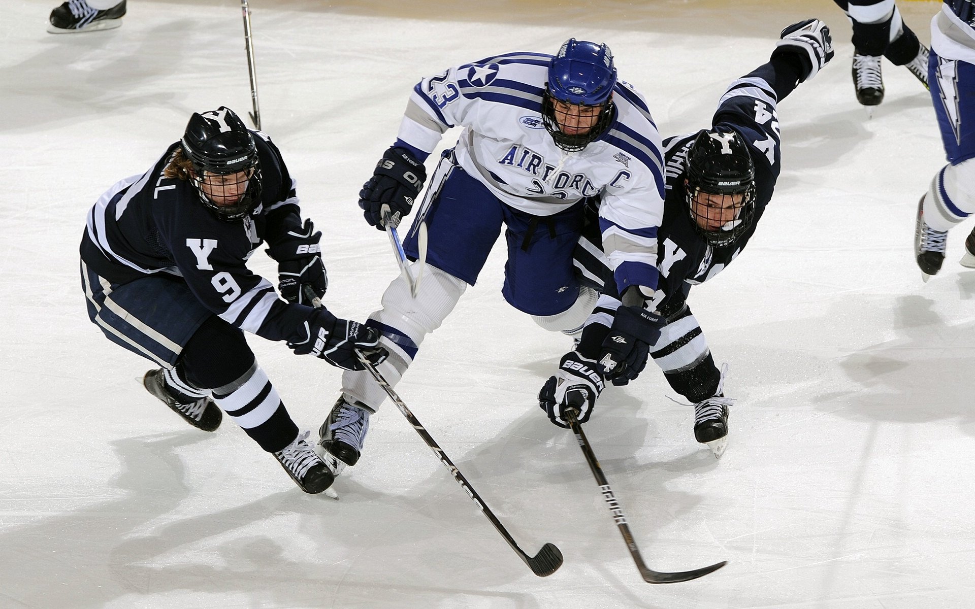 粉丝的狂欢：最难忘的现场回忆，粉丝的狂热