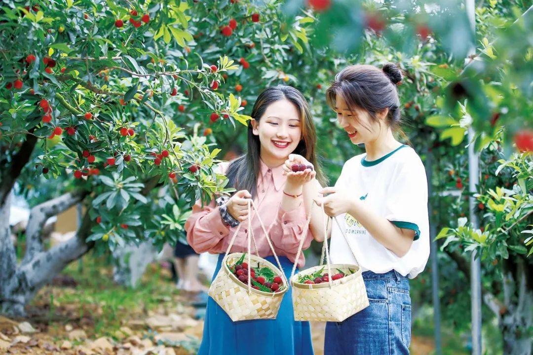 包含果园采摘运动会，结合采摘乐趣的休闲运动的词条