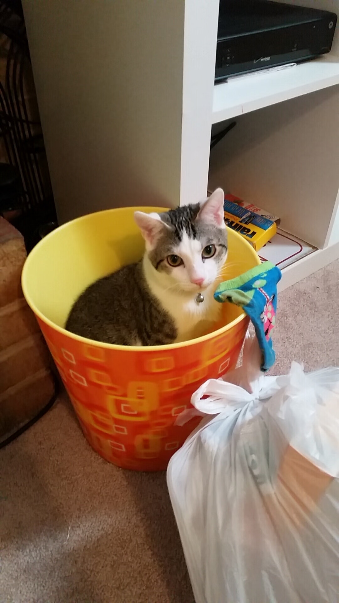 _探索未知的洞穴运动:勇士的黑暗冒险_,勇敢的探索未知的世界