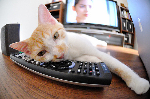 【战术创新】球队如何利用新规则取得优势,球队规章制度