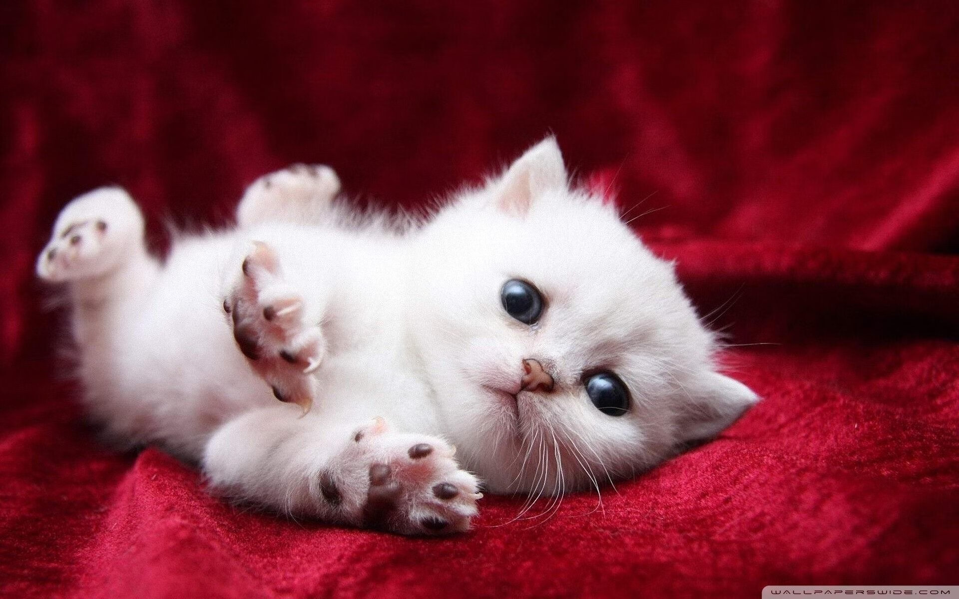 【战术大PK】奥沙利文精通的多变攻防战术解析,奥沙利文的防守