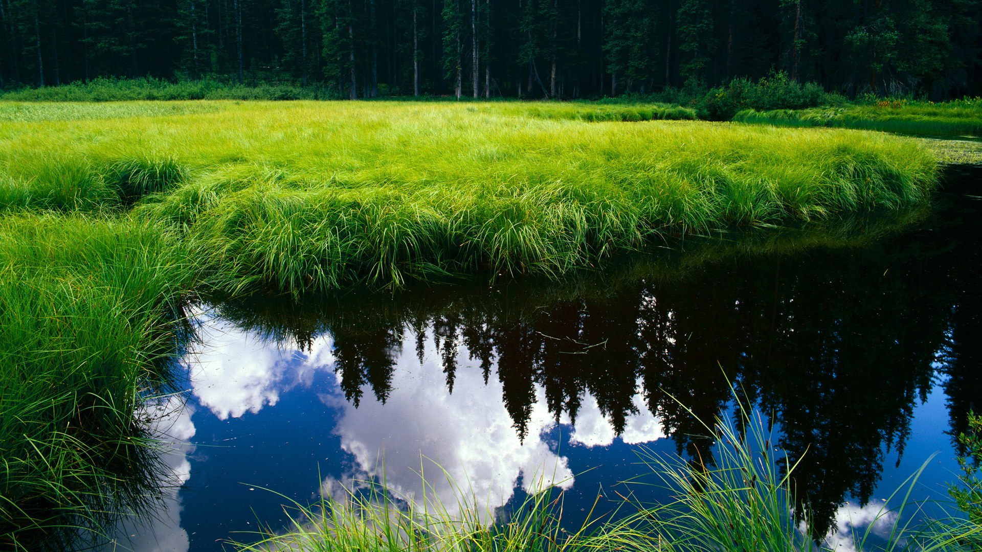 AYX官网-克罗地亚马术协会与欧洲马术协会签署合作协议，共同举办国际赛事。