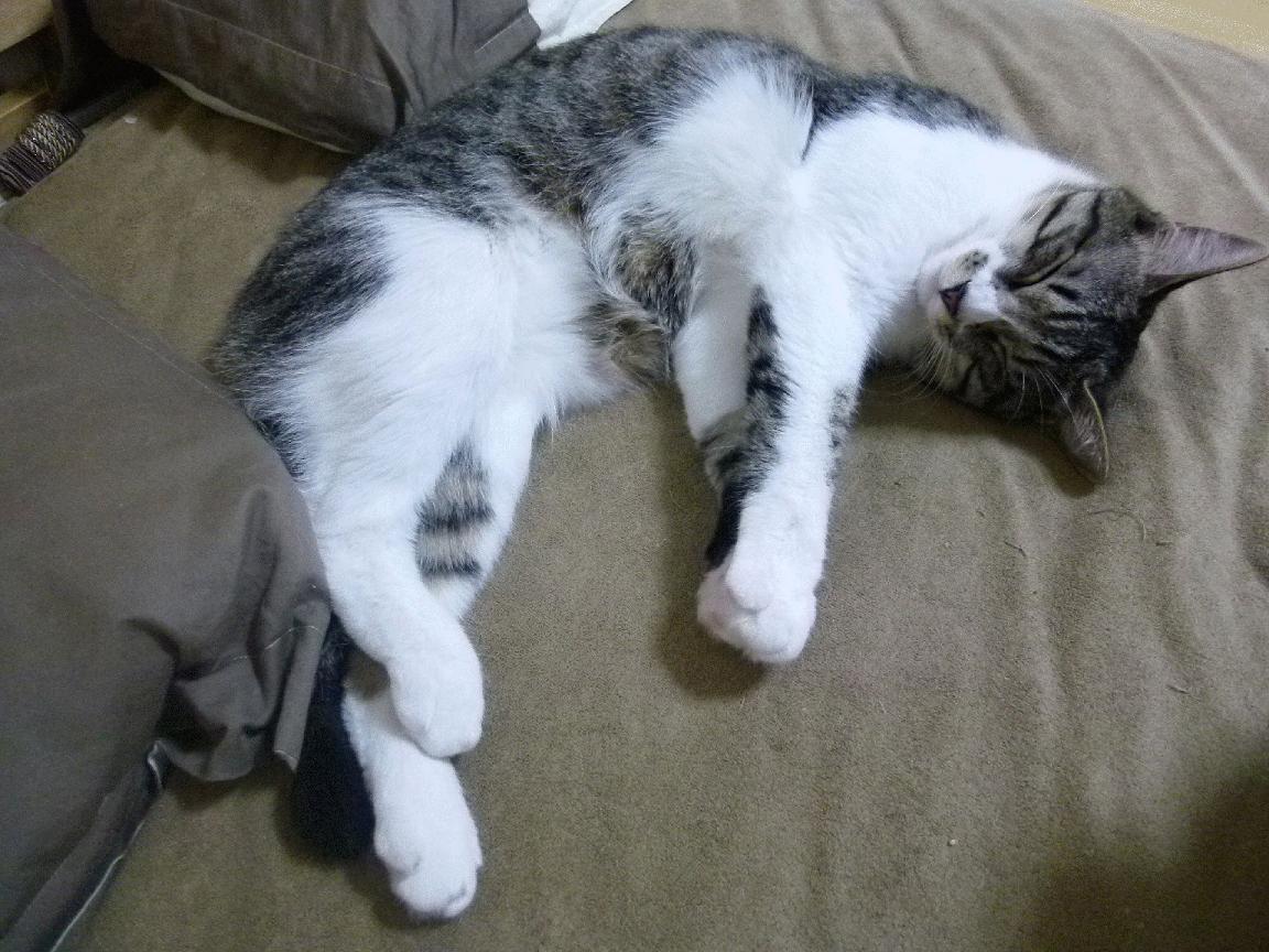 文化赋能:电竞助力青年价值观引导与文化输出,电竞 文化担当