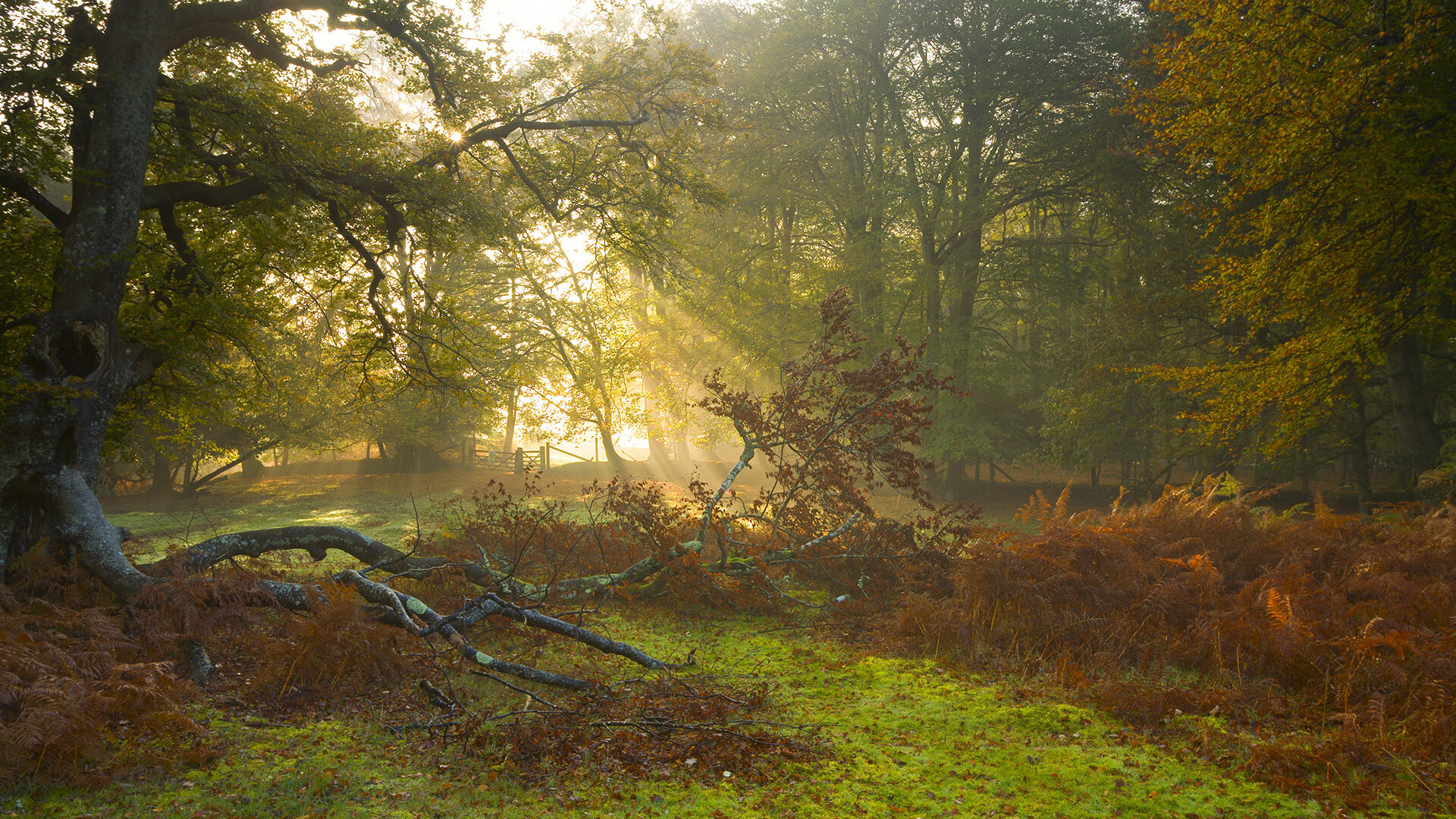 AYX官网-特色“足球+乡村振兴”试点项目在多地落地，村级足球场 乡村振兴