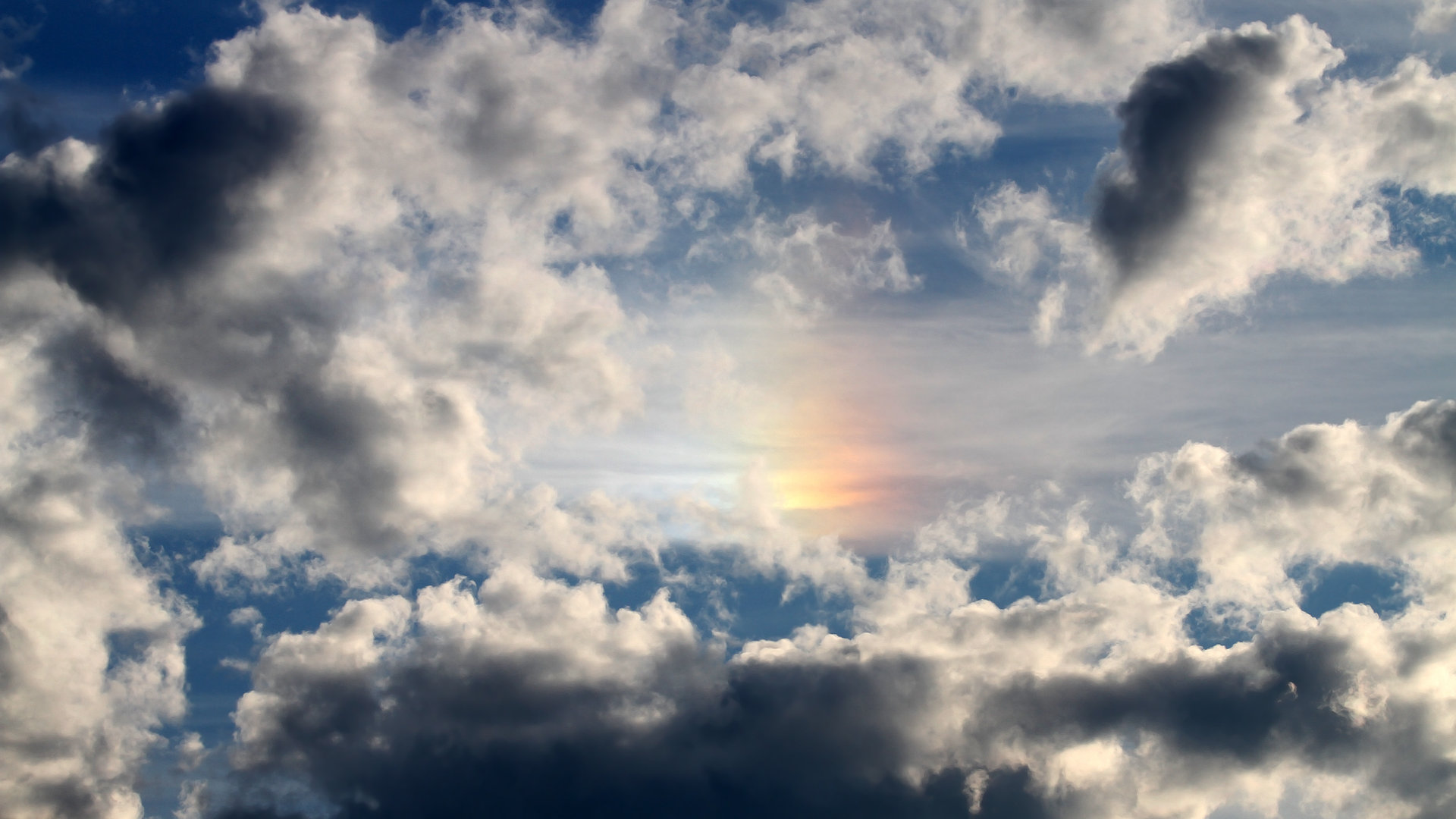 AYX体育官网-WNBA新赛季竞争激烈升级，nba新赛季比赛