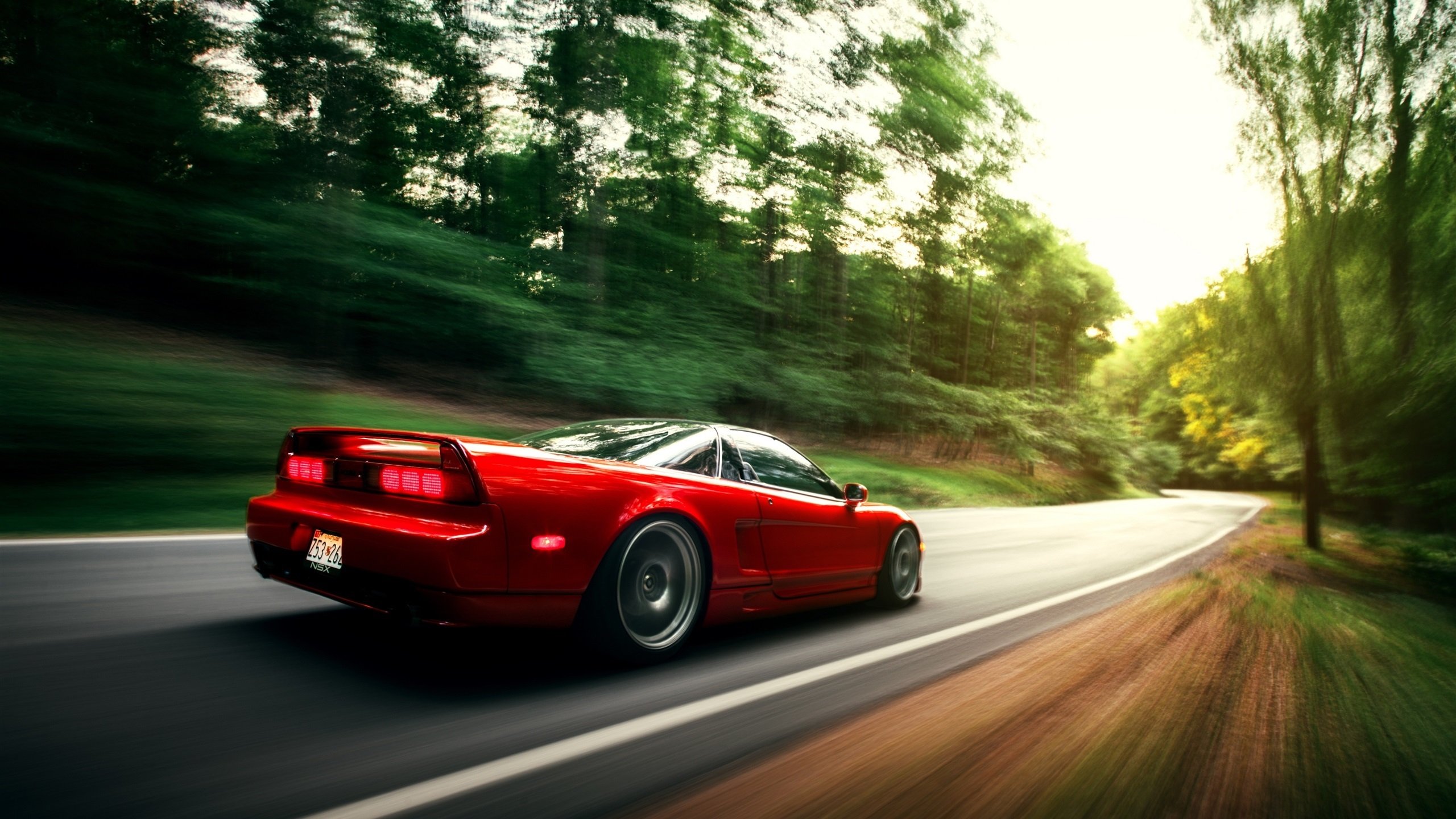 墨尔本联新秀球员崭露头角,墨尔本联队球员名单