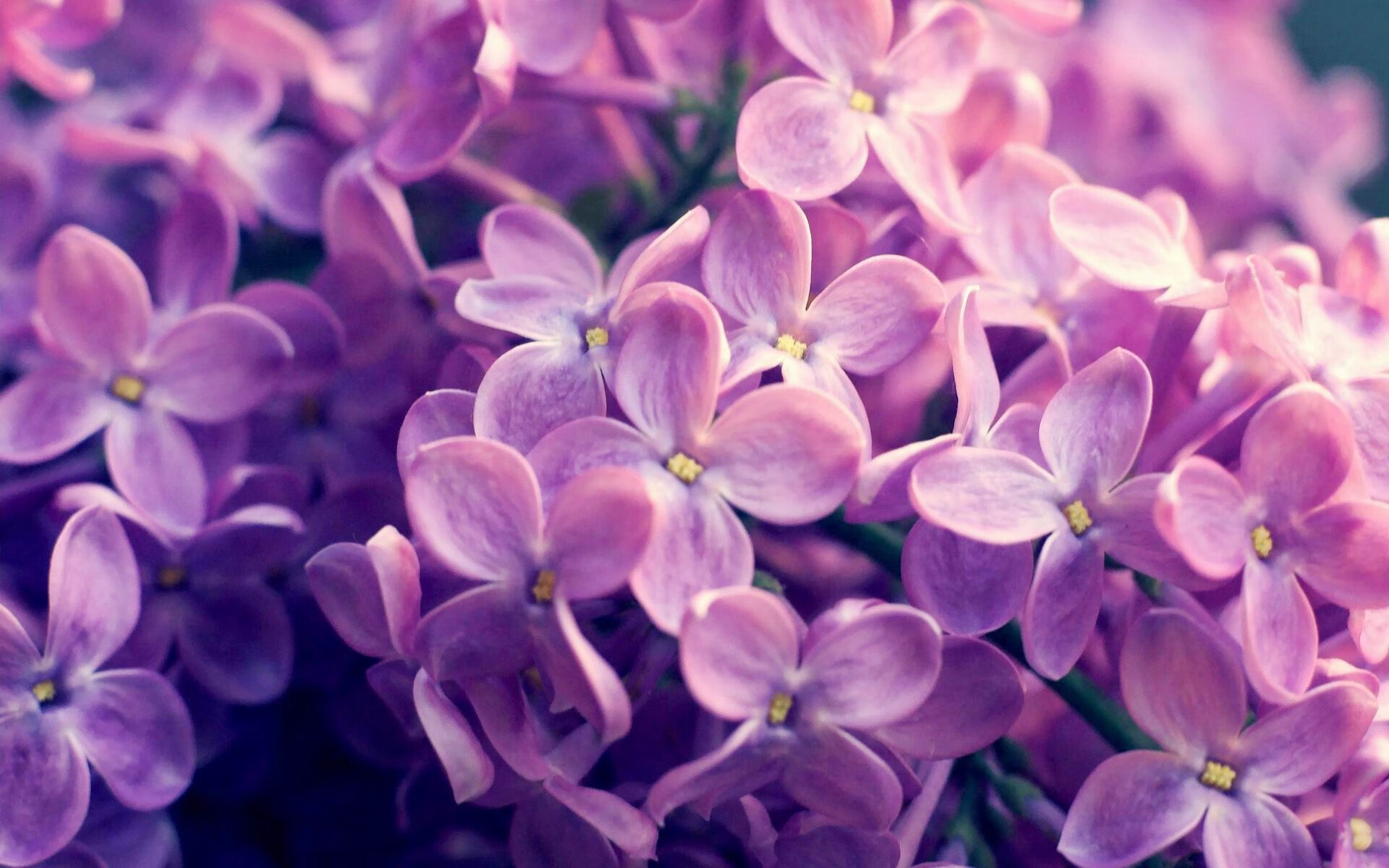 爱游戏体育（AYX）官方APP下载-篮球运动员营养管理，篮球运动员营养餐