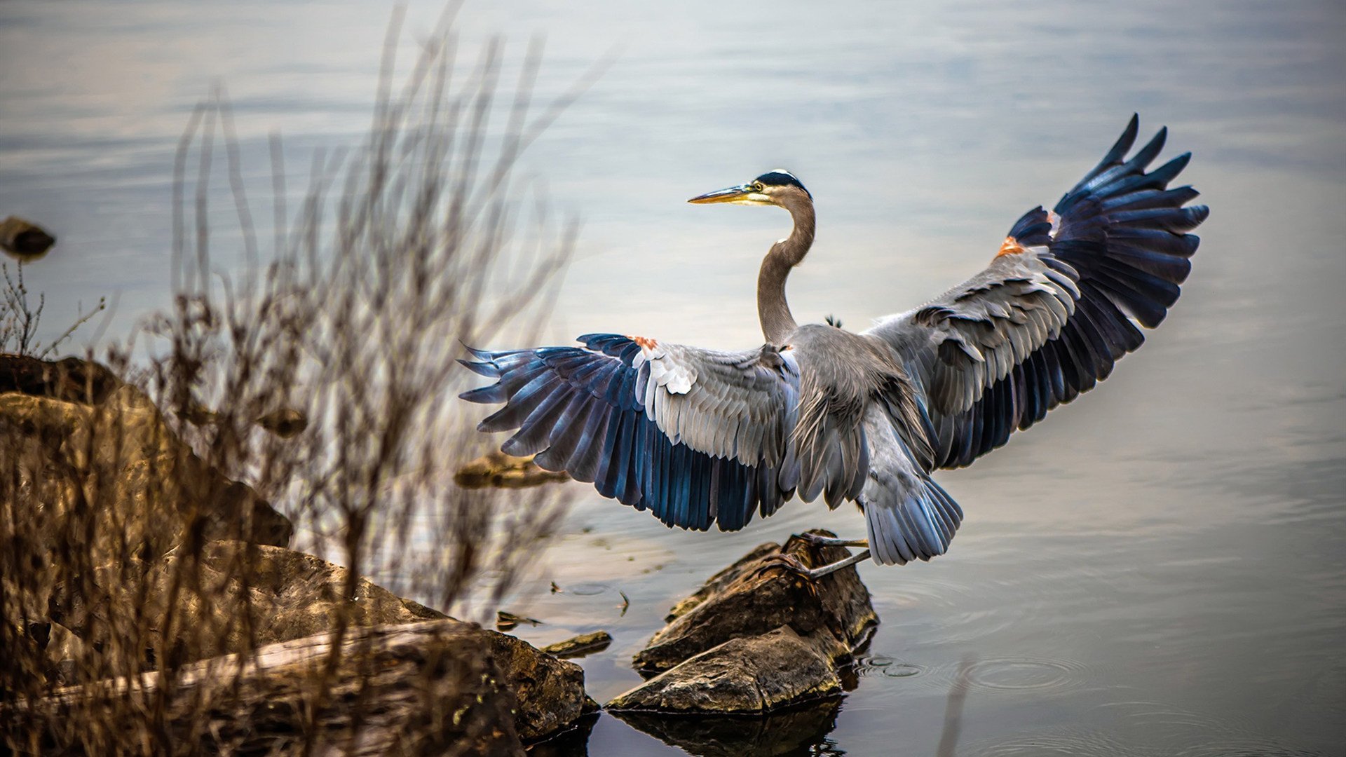 世界青年花样轮滑锦标赛燃情上演,世界轮滑锦标赛项目