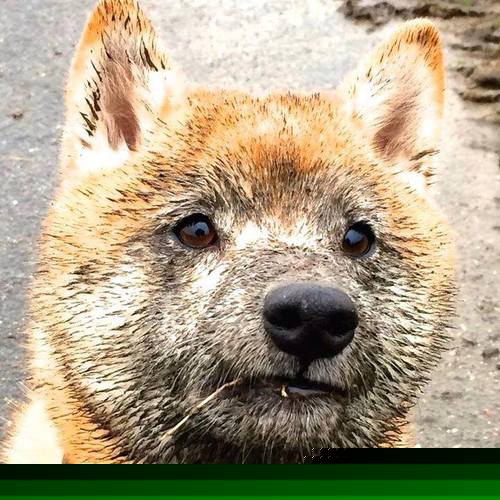 AYX GAMING-足球训练营开展家庭日活动增强互动，足球训练营方案