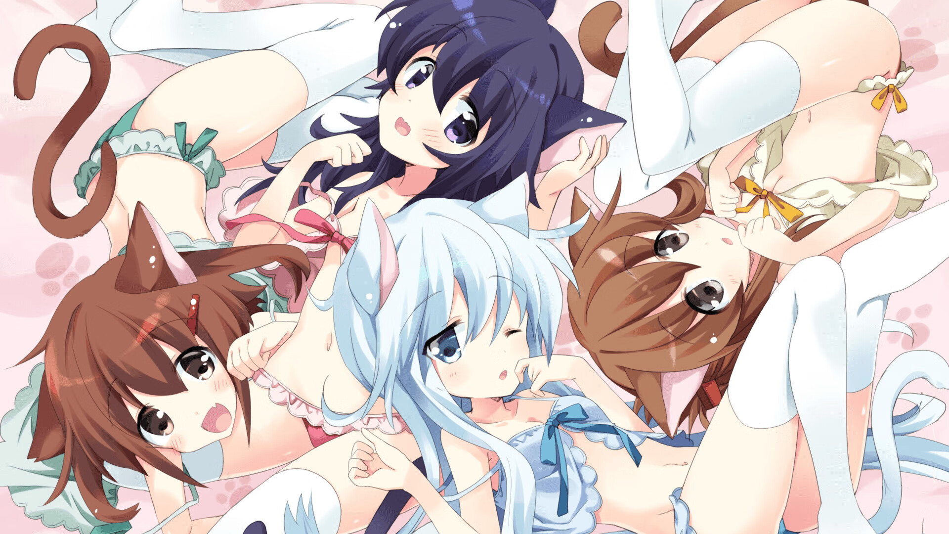 国王媒体开放日迎来大批记者参访,国王发布消息