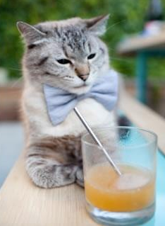 AYXSPORTSAPP-德甲速度爆发：瞬间突入，场面火爆！，德甲的比赛