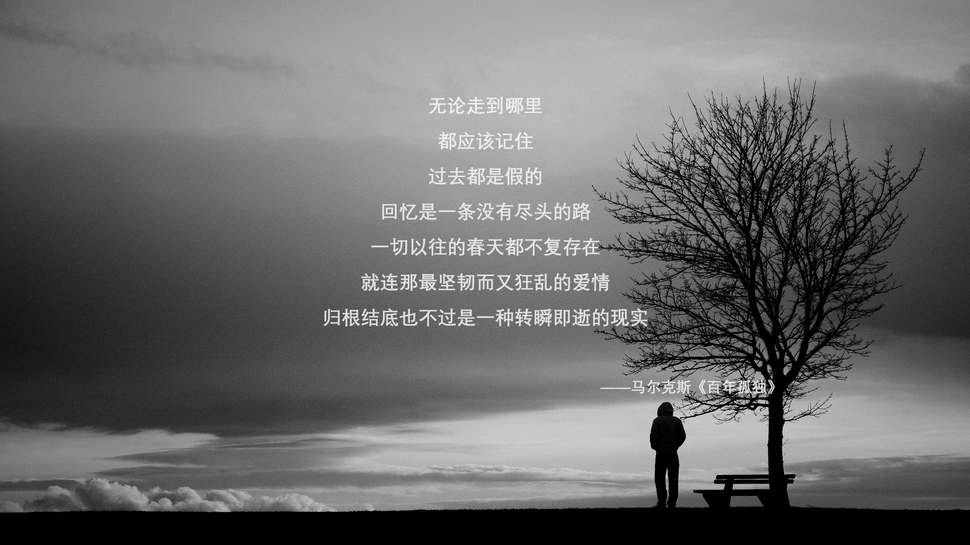 莫莉·奥卡拉汉突破自我刷新纪录,莫莉·奥西